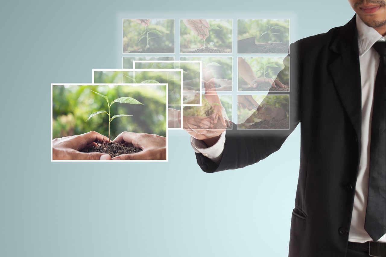 Compromiso de Bi Bank con la sostenibilidad en Panamá: trabajando juntos hacia un futuro más verde